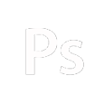 wordpress developer in kolkata